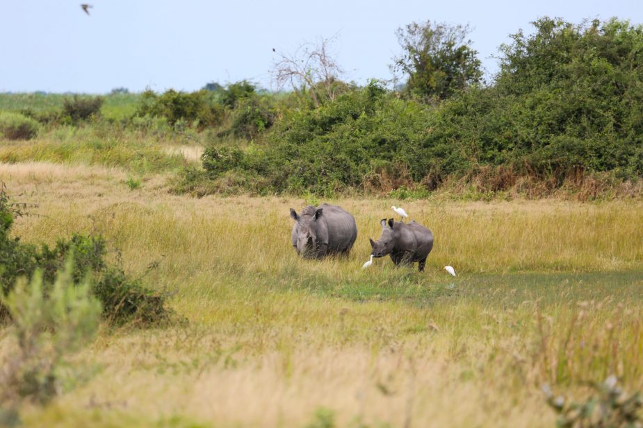 travel-story-okavango