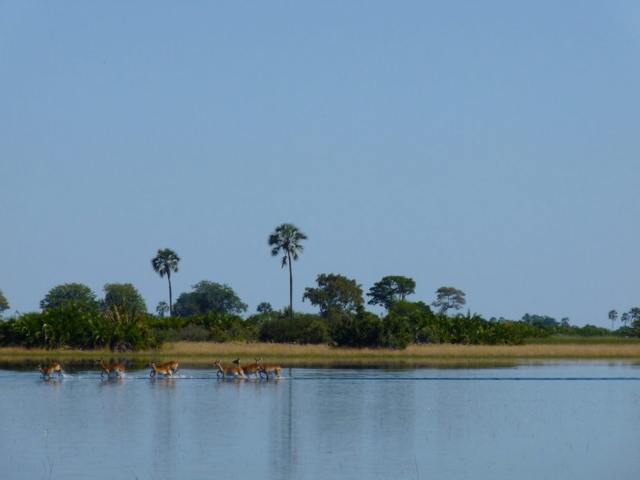 travel-story-okavango