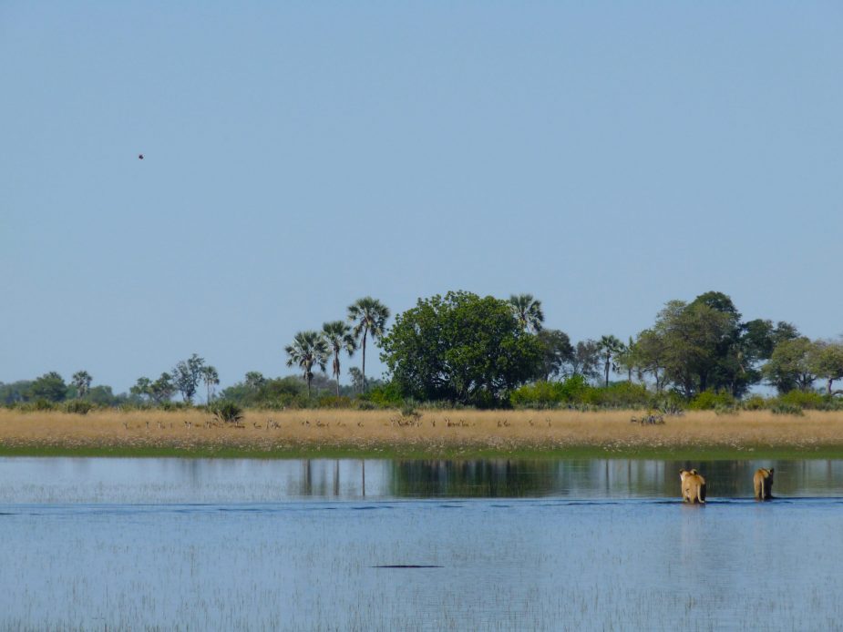 travel-story-okavango
