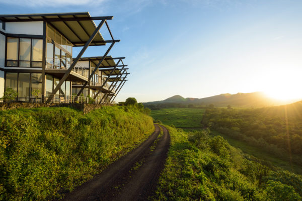 pikaia lodge