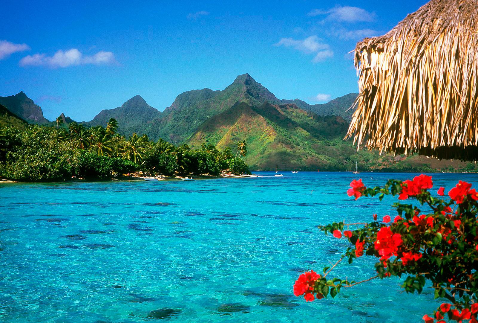 BRU BRU luna de miel en Polinesia