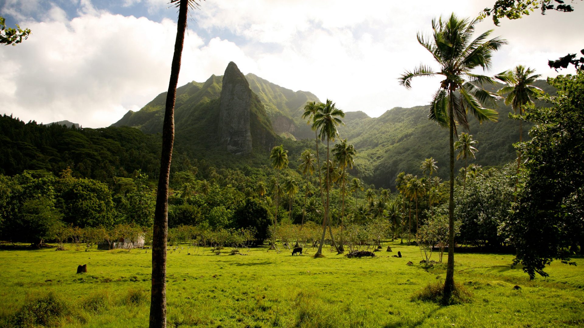 Polinesia Francesa: el paraíso en la Tierra