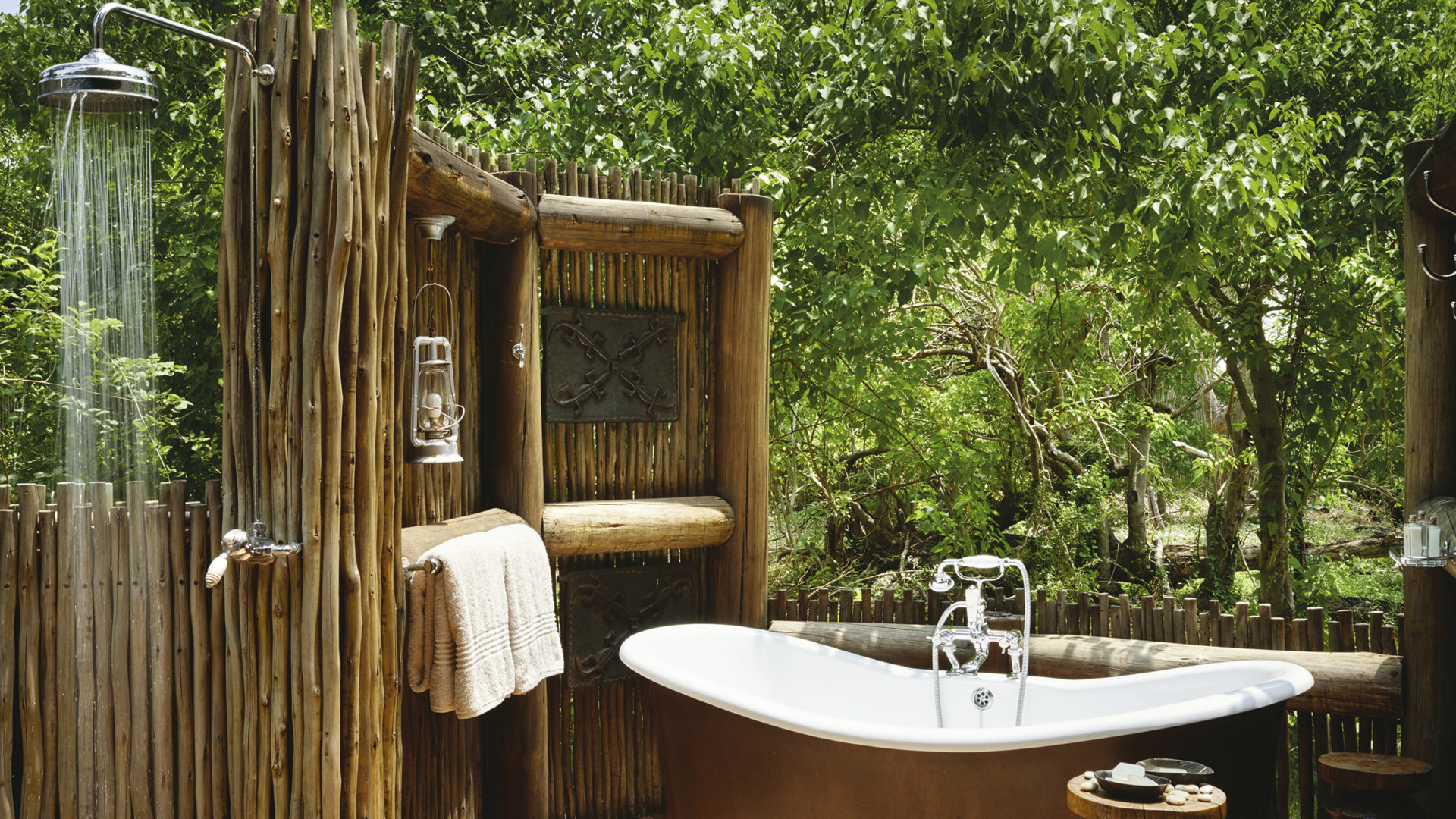 safari nature africa