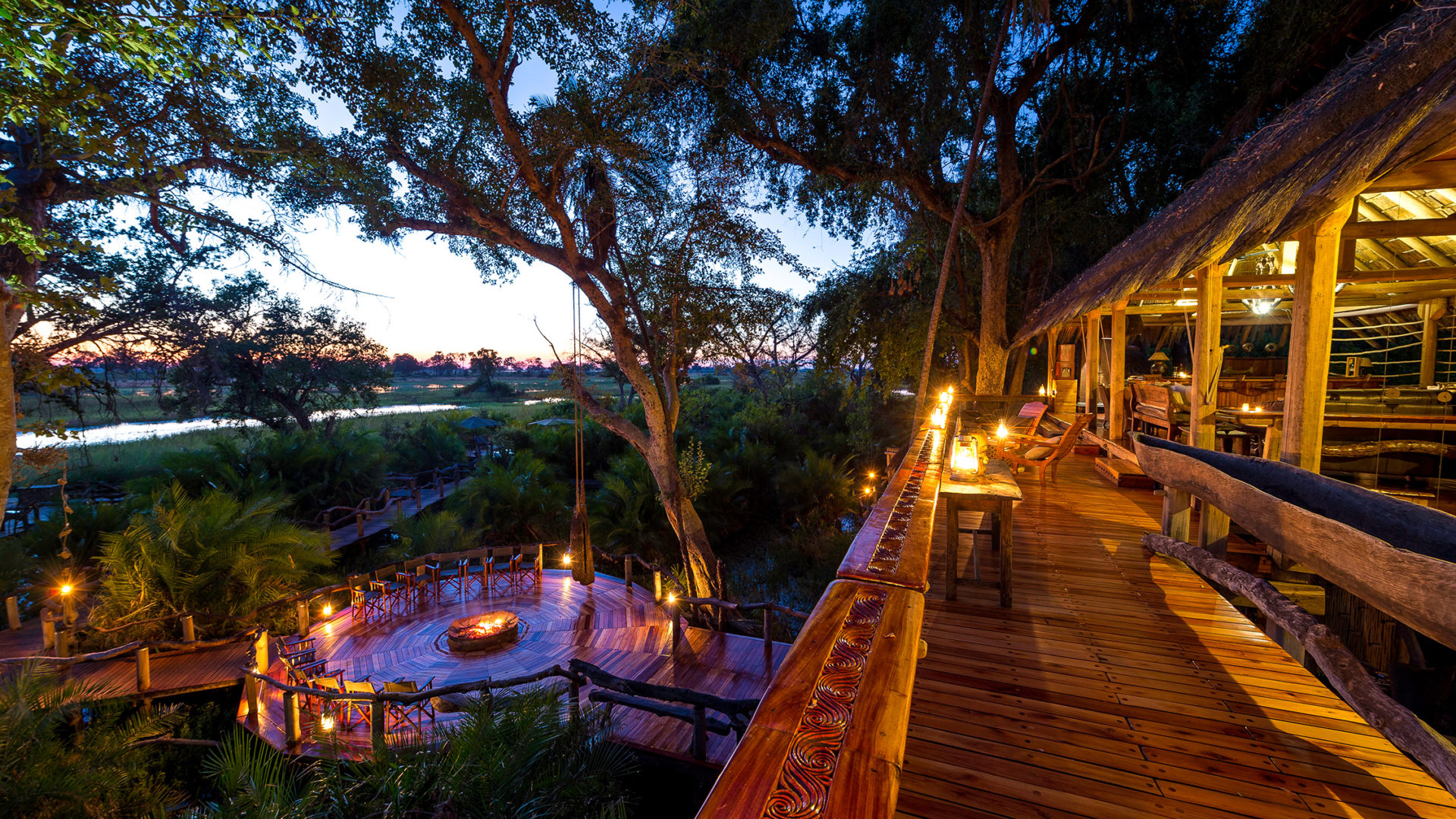 safari nature africa