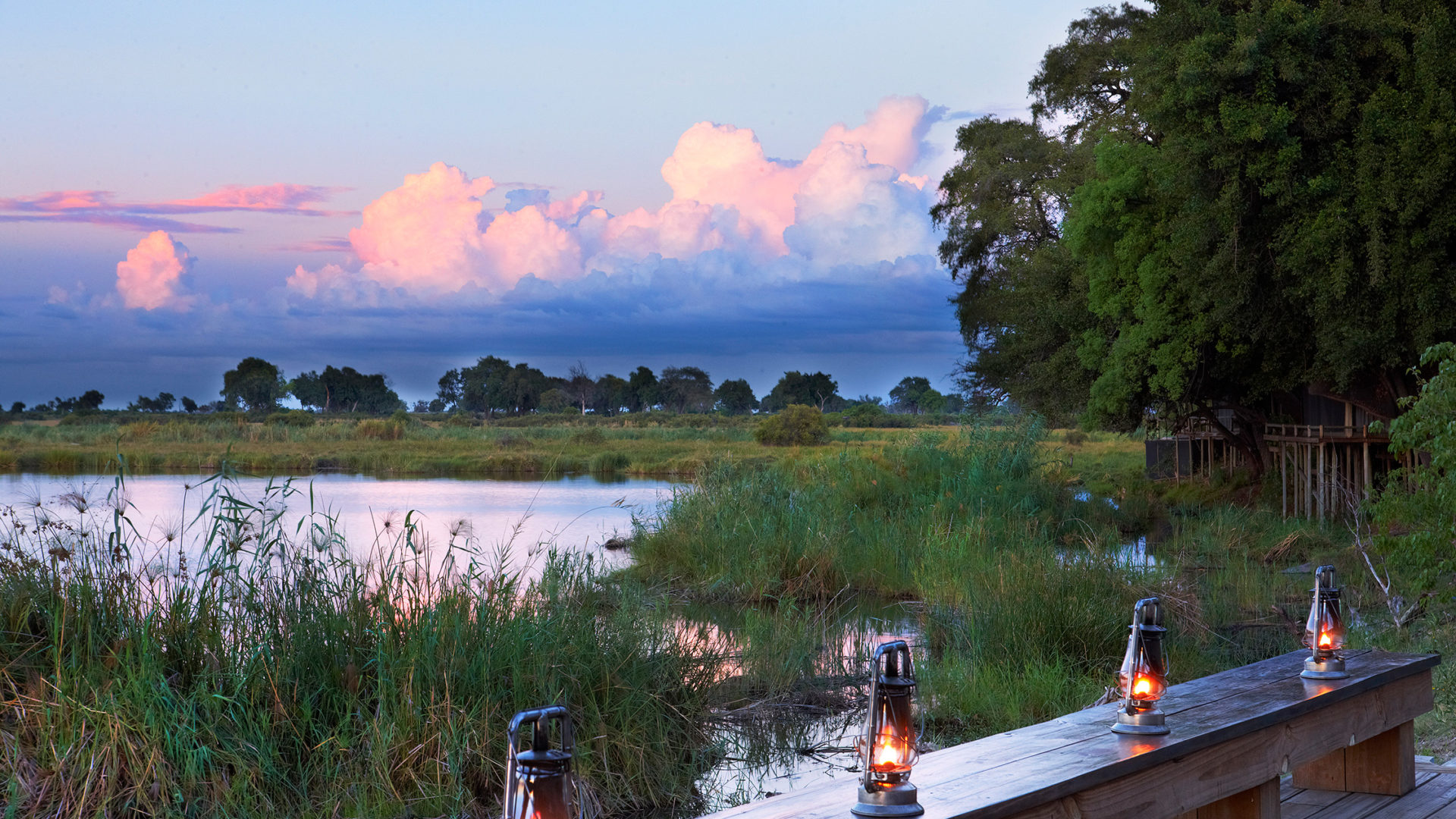 safari nature africa