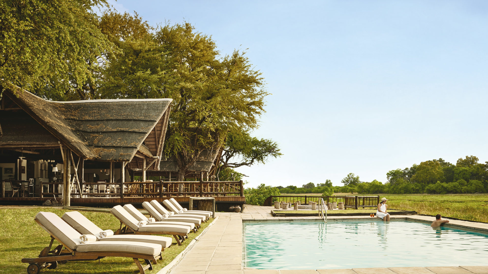 safari nature africa