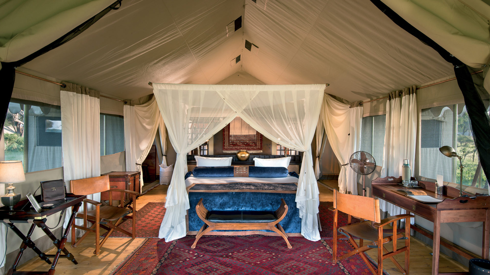 safari nature africa