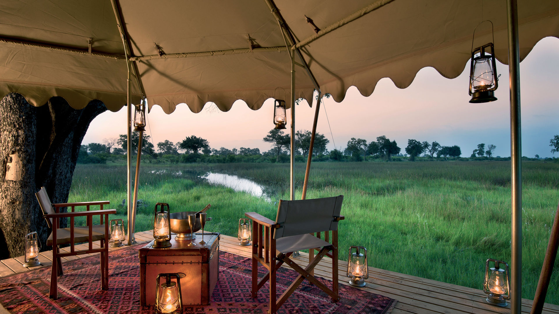 safari nature africa