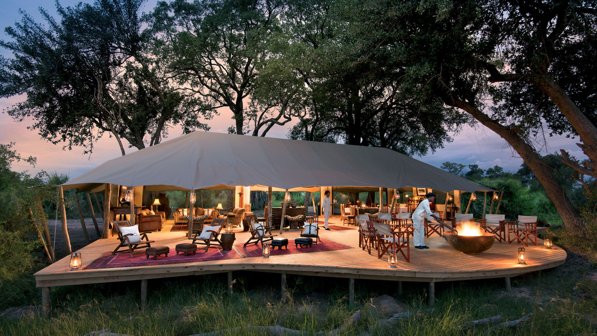 safari nature africa