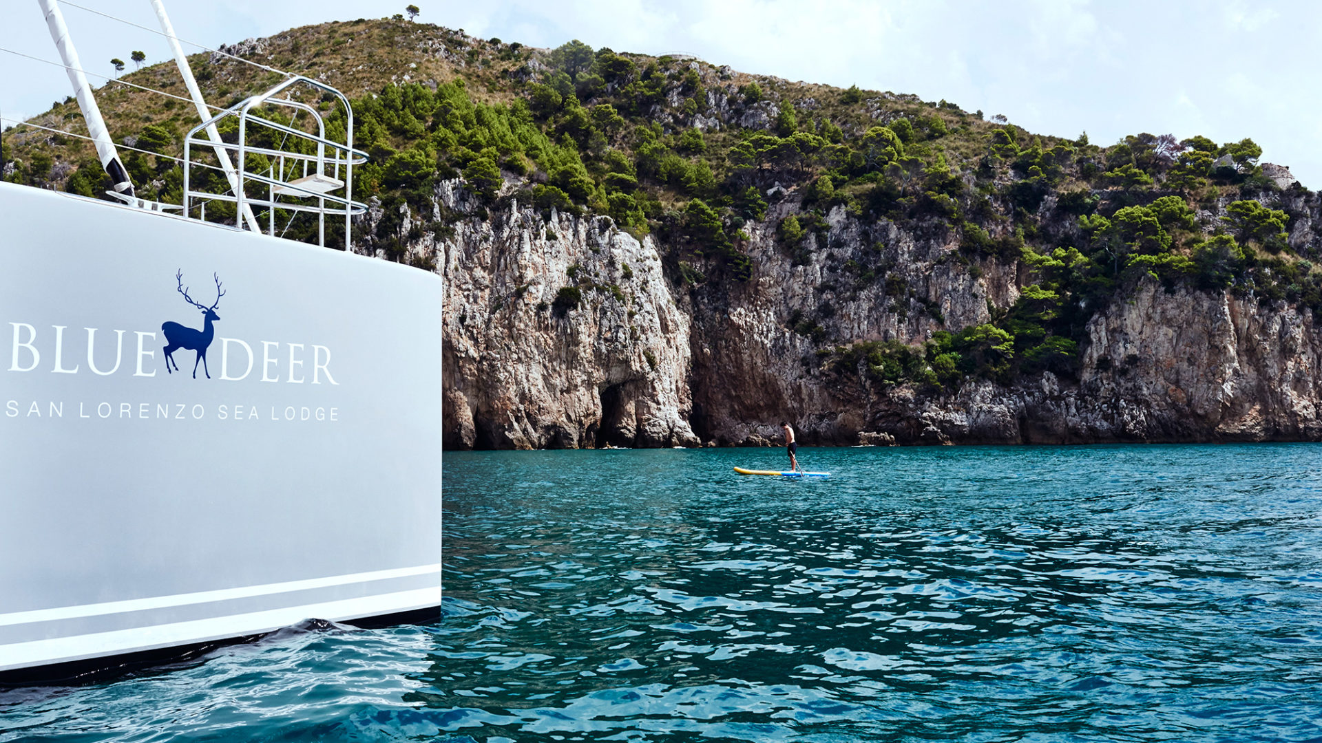 san lorenzo blue deer