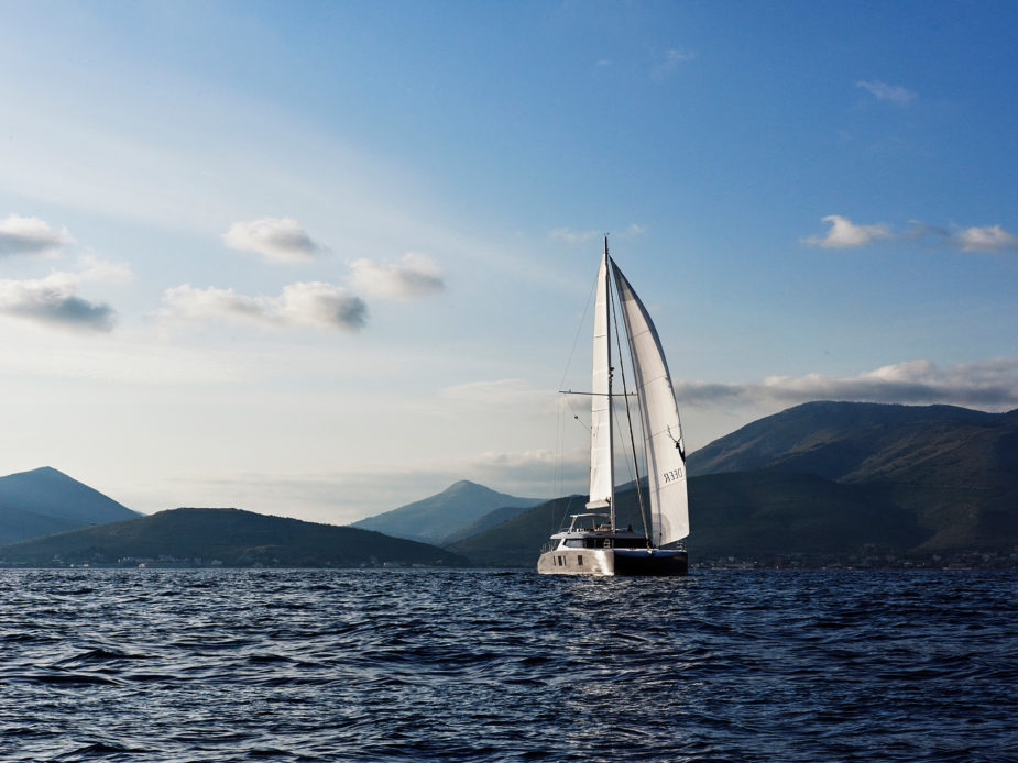 san lorenzo blue deer