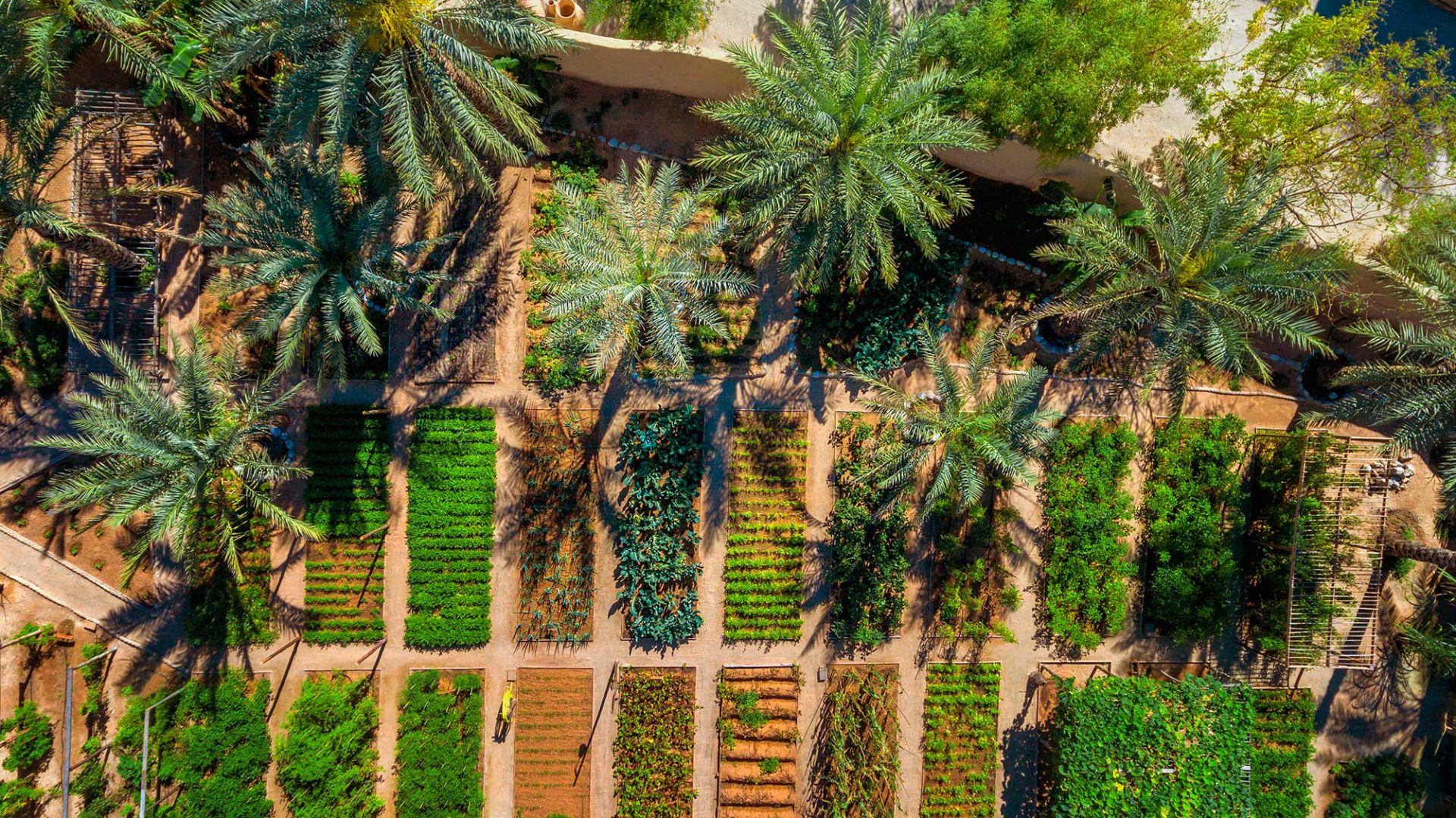 six senses zighy bay