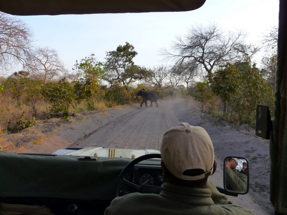 travel-story-tanzania-mozambique