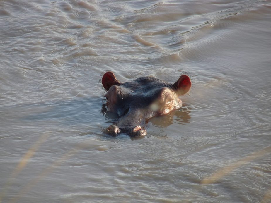 travel-story-tanzania-mozambique