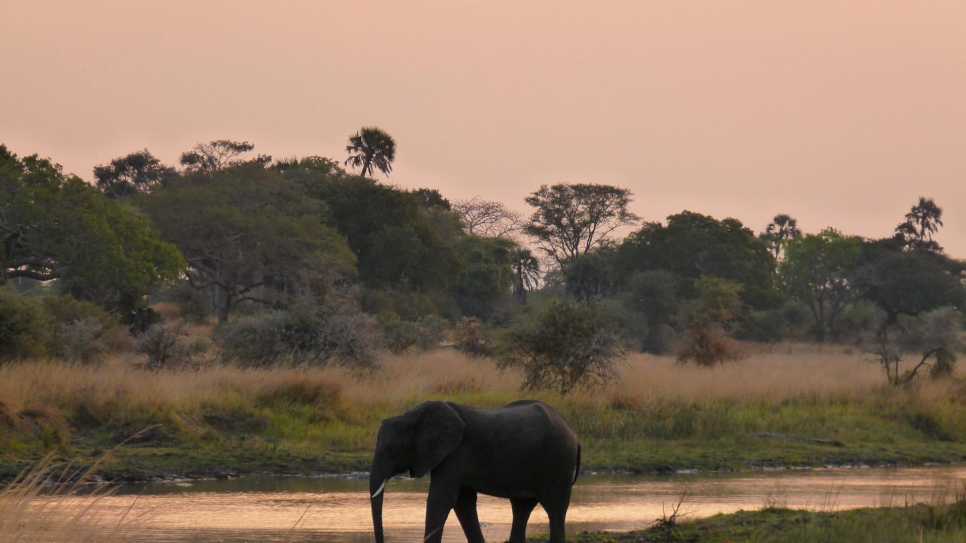 travel-story-tanzania-mozambique