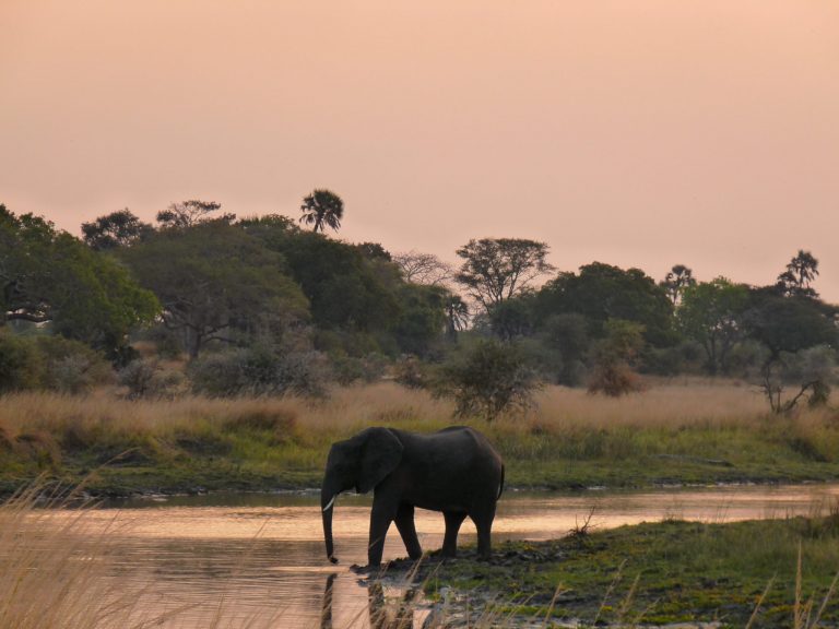 Tanzania and Mozambique: the perfect combination