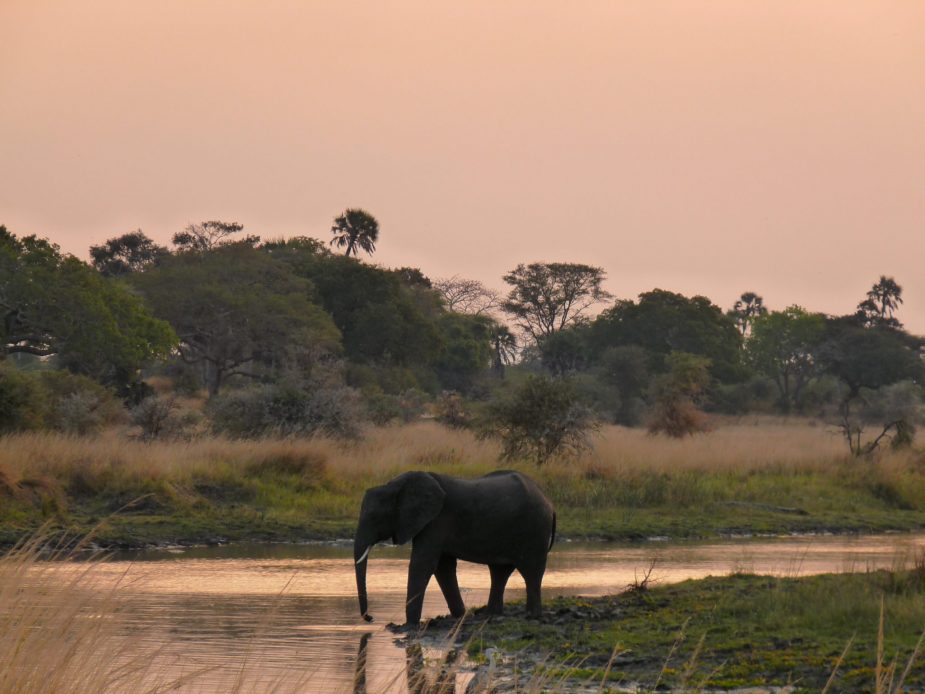 travel-story-tanzania-mozambique