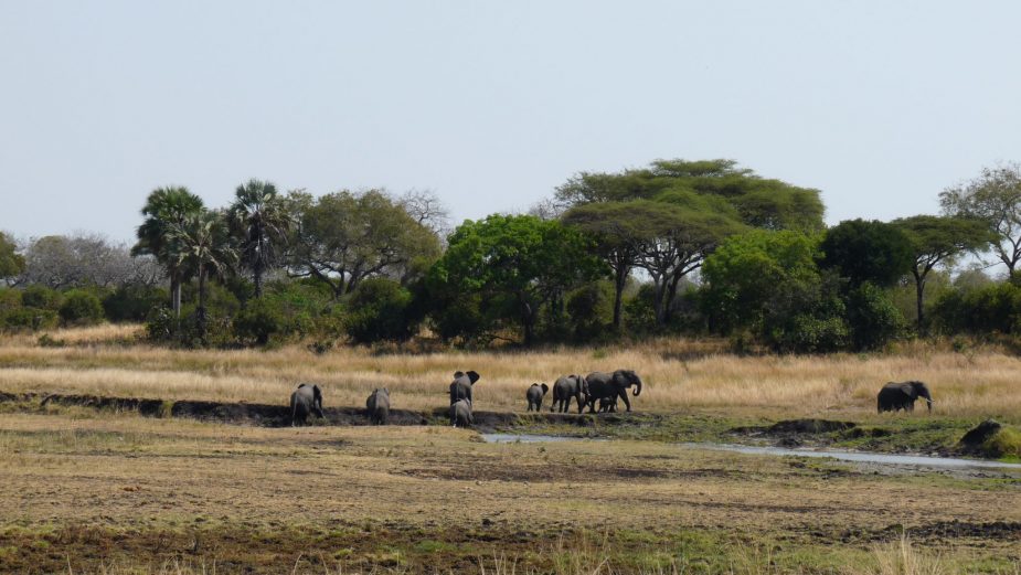 travel-story-tanzania-mozambique