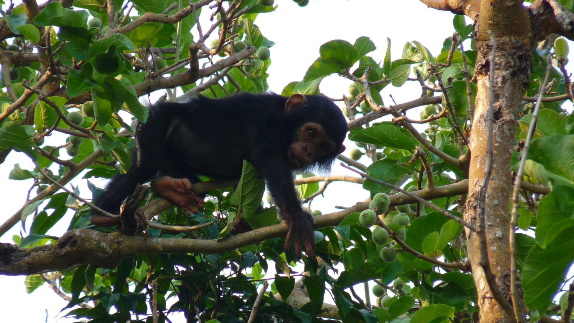 travel-story-tanzania-mozambique