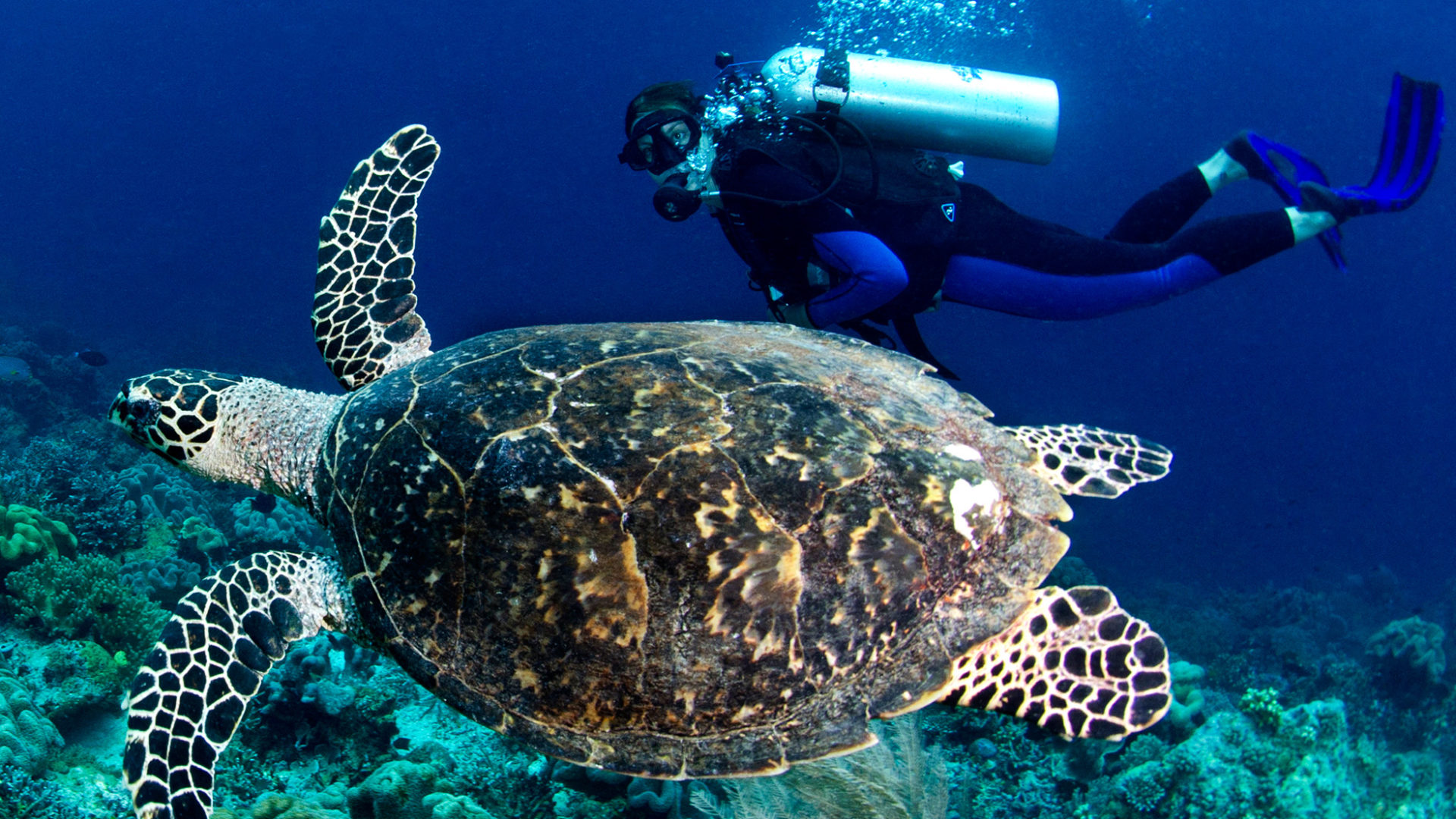 the silolona sojourn