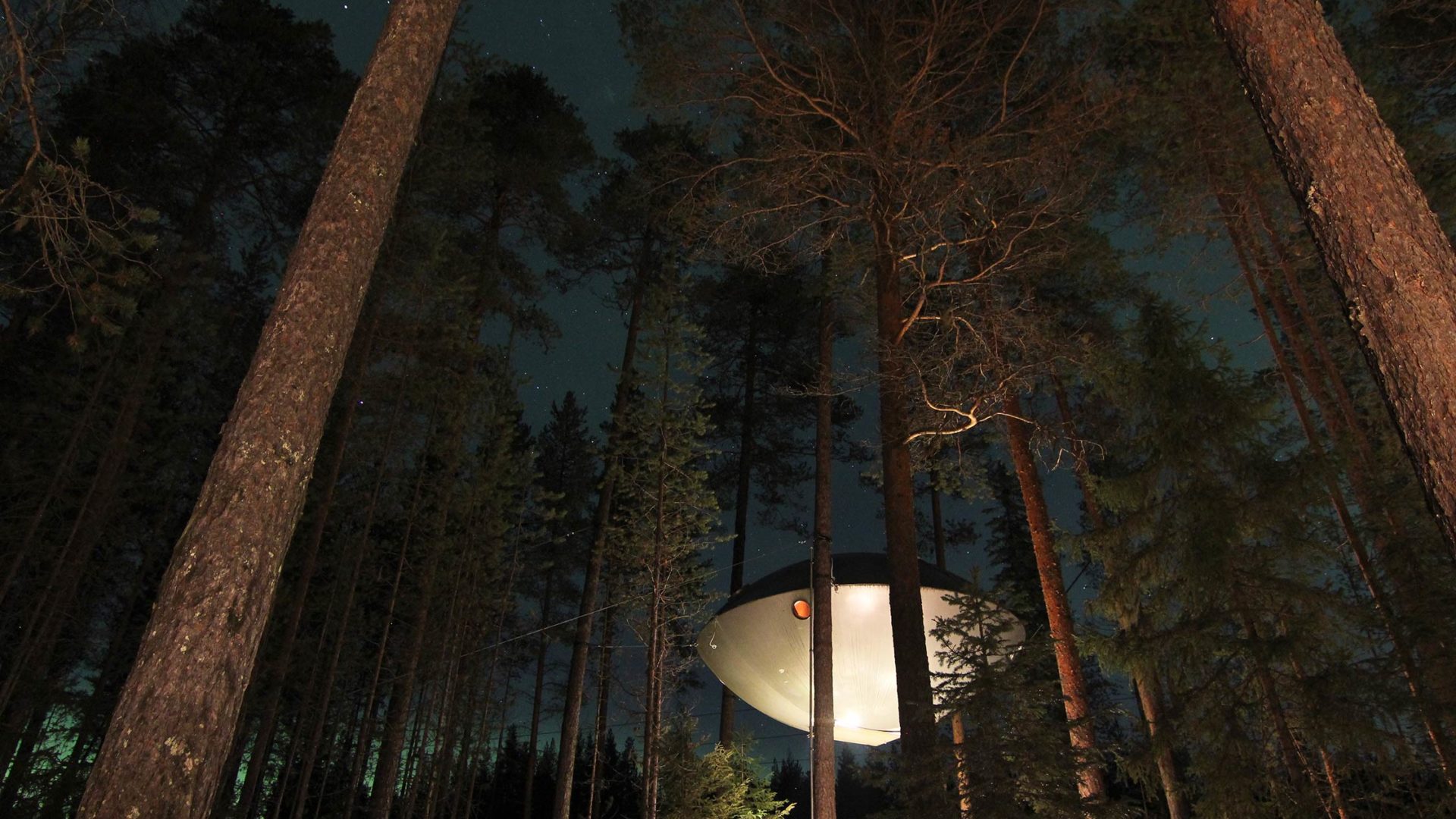 treehotel