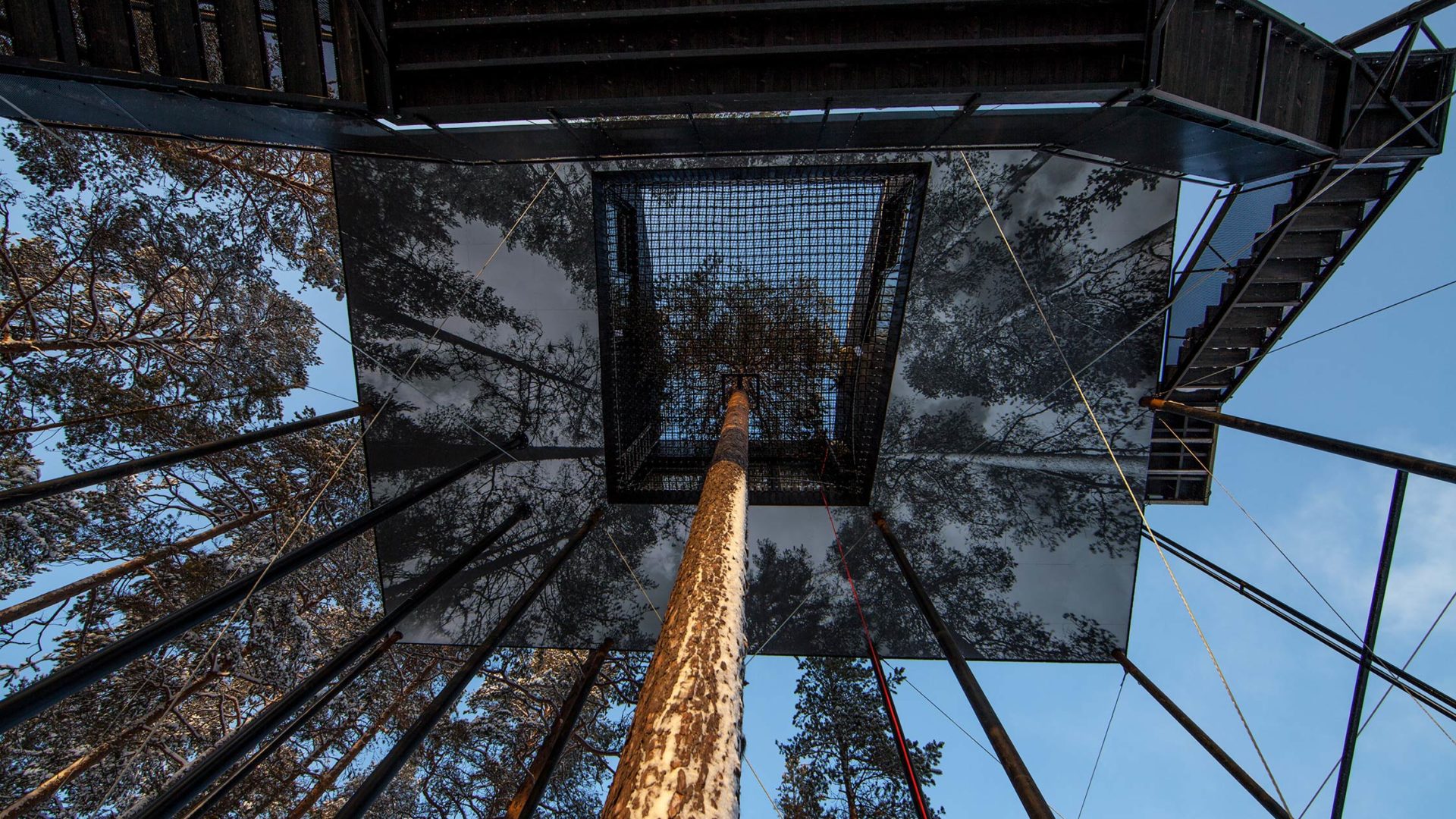 treehotel