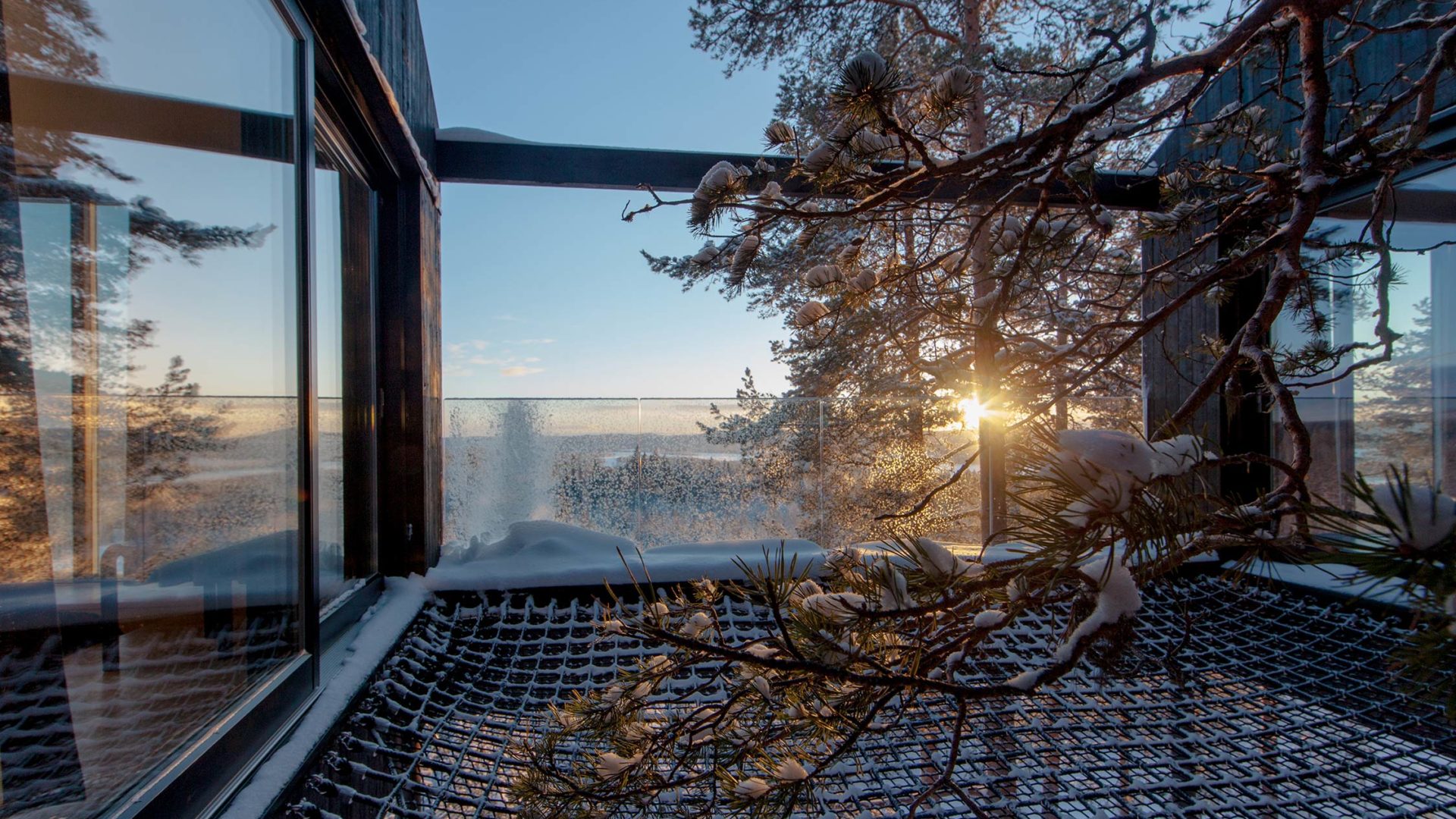 treehotel