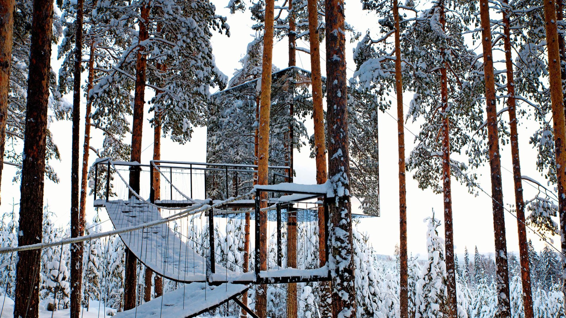 treehotel