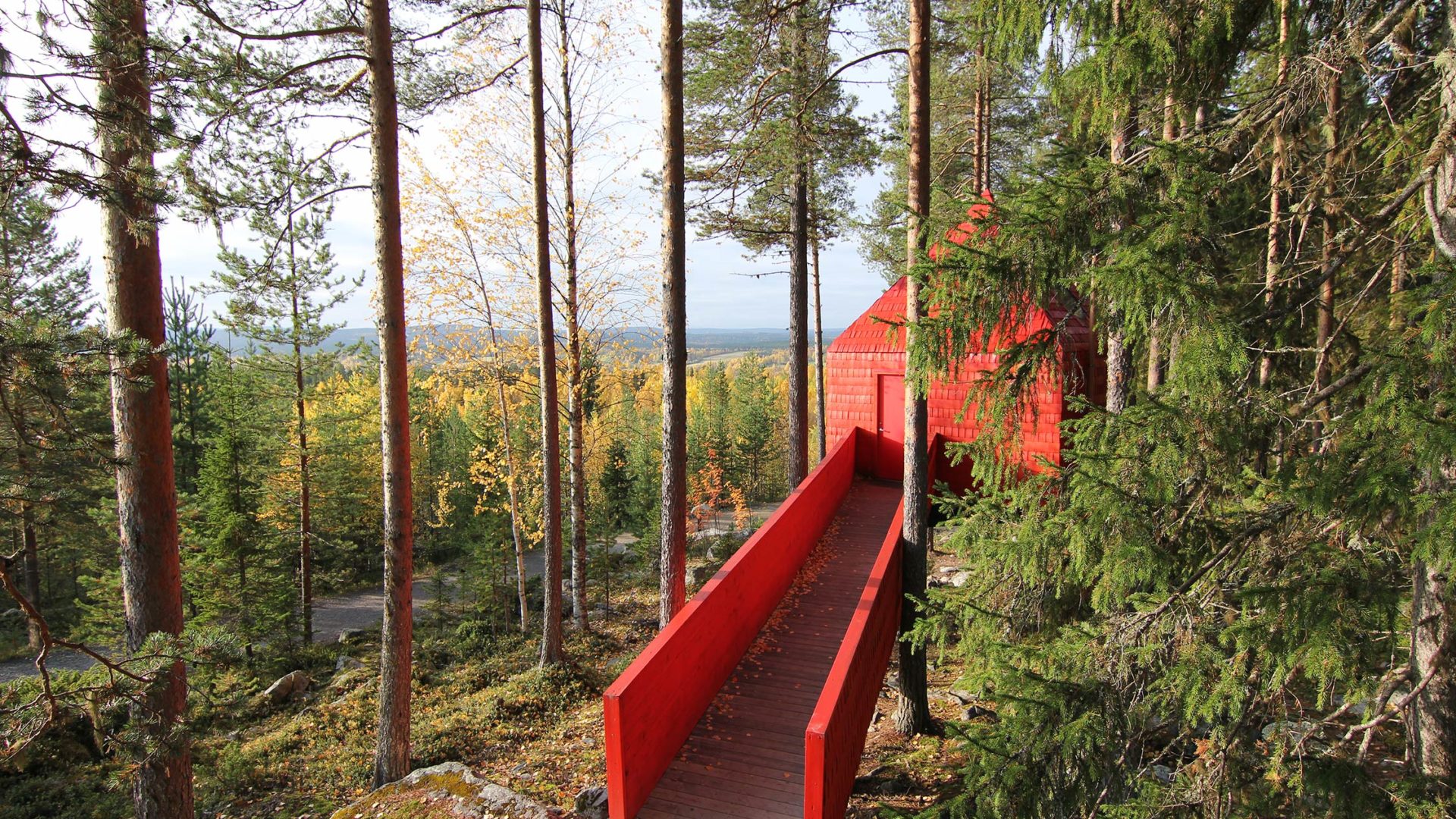 treehotel