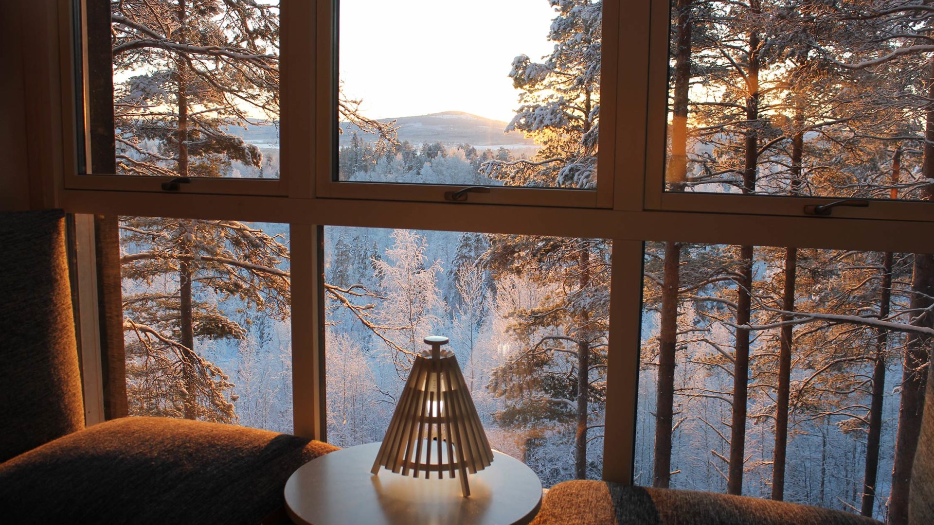 treehotel