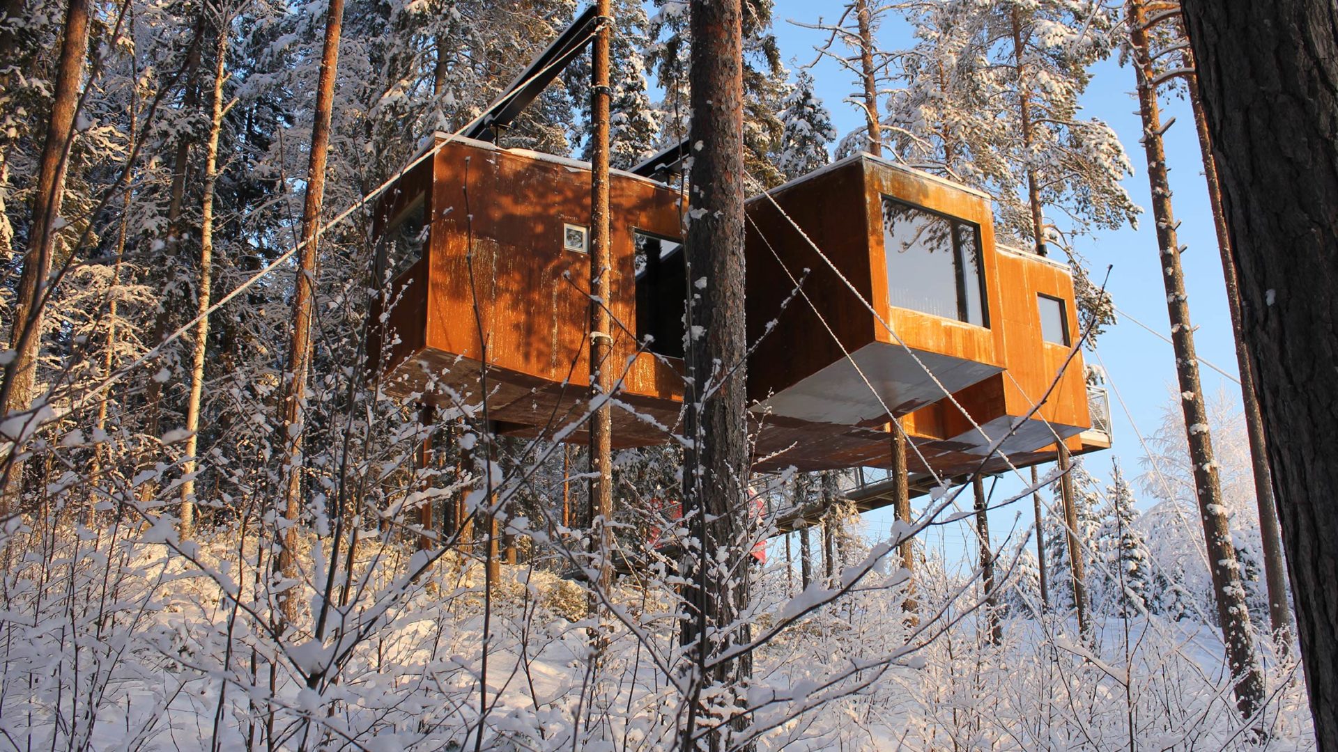 Treehotel