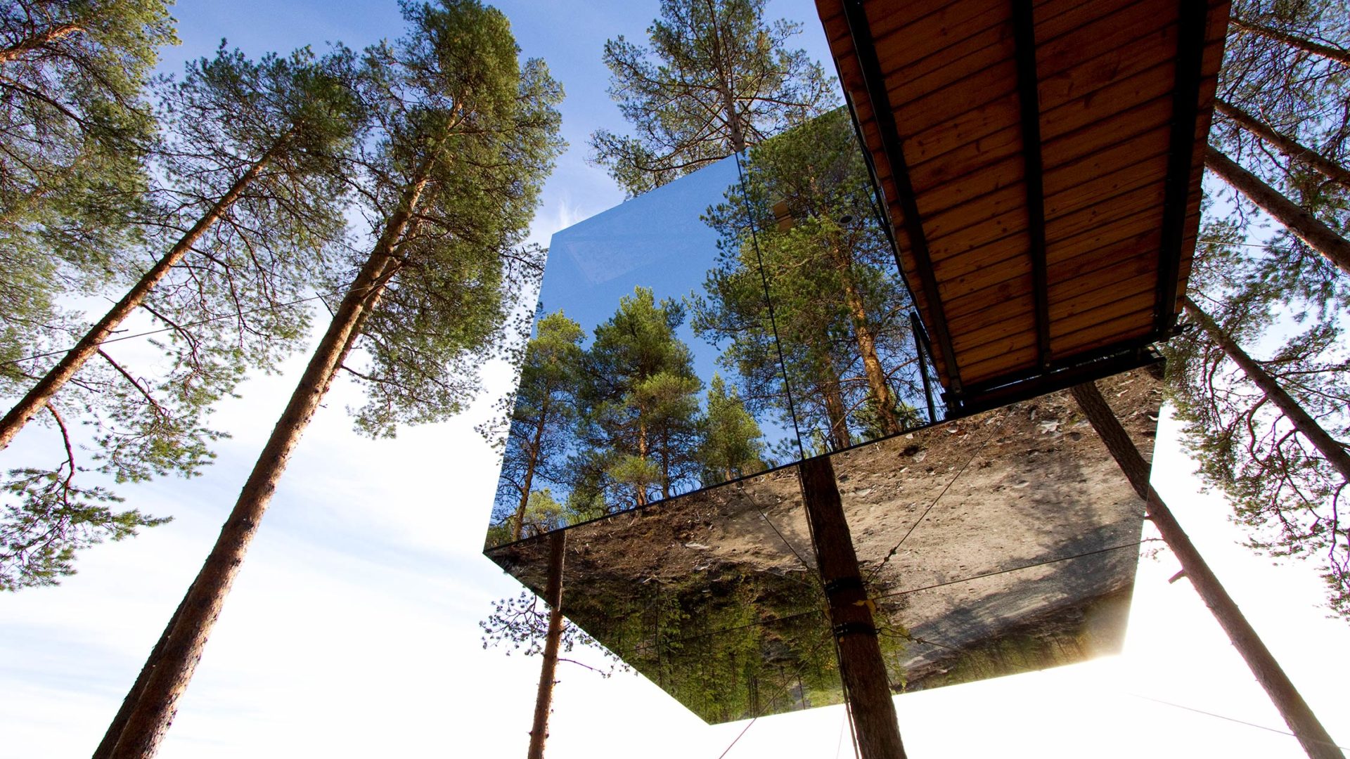 treehotel