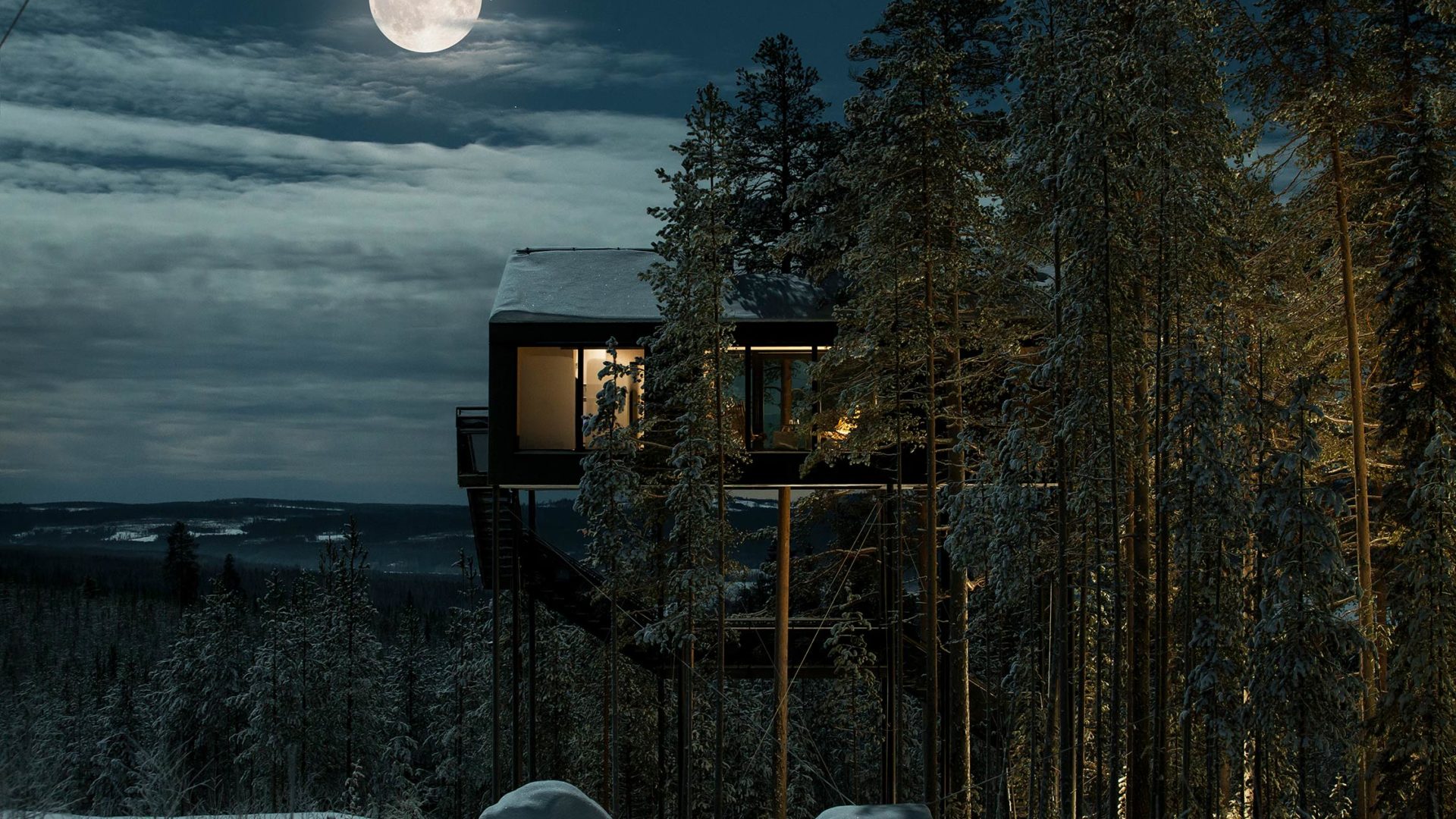 treehotel