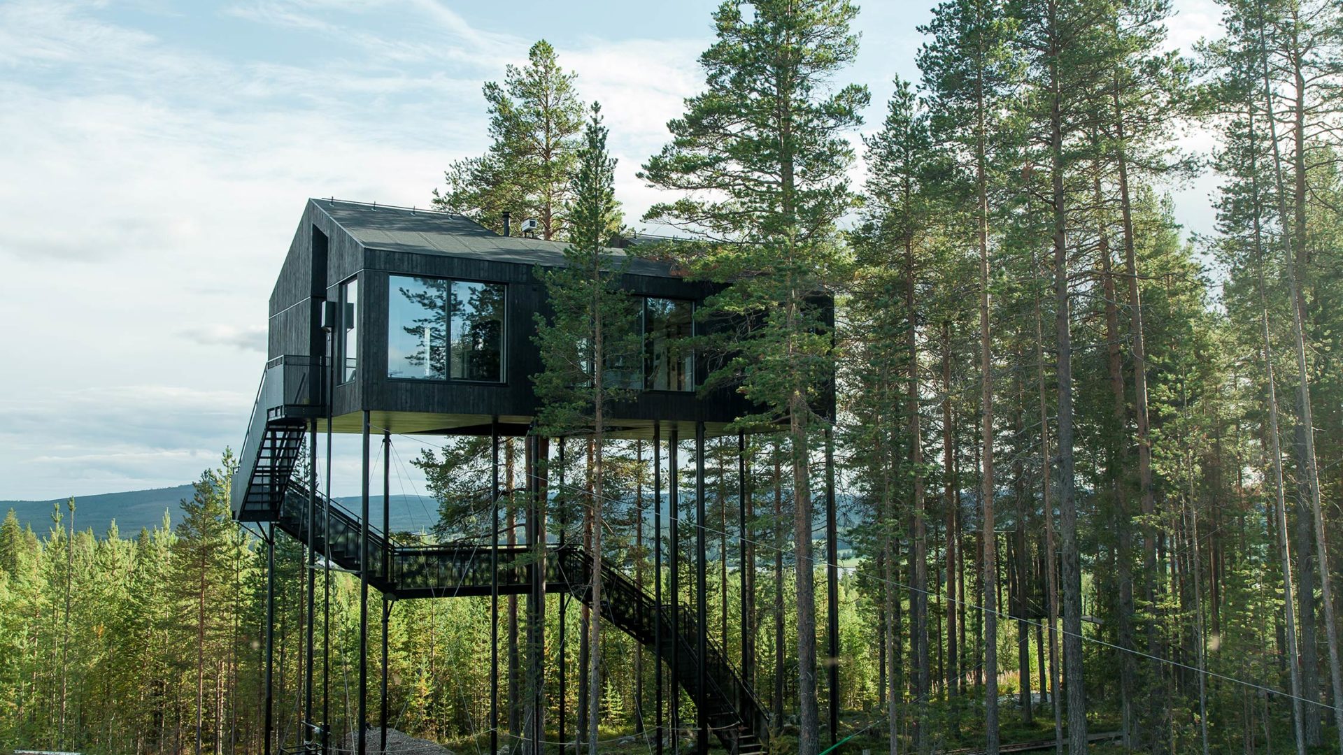 treehotel