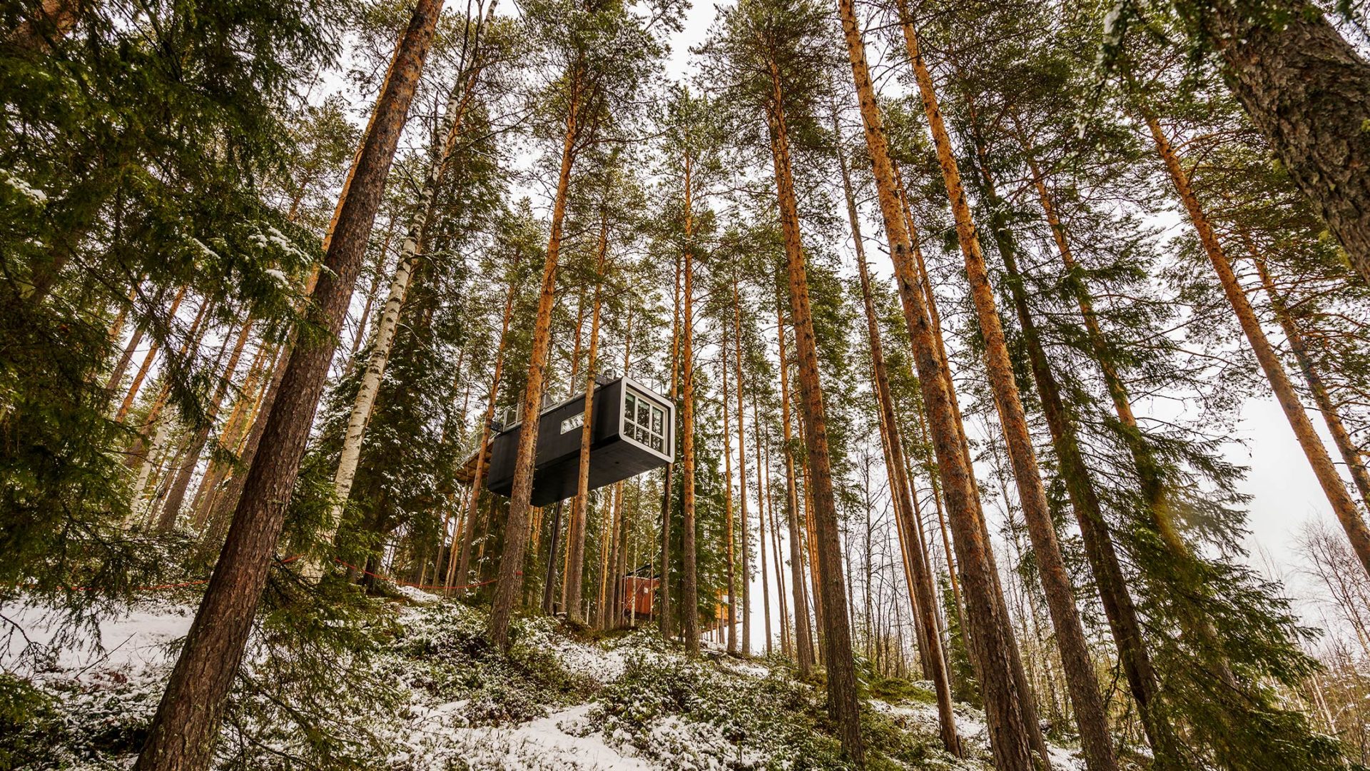 treehotel