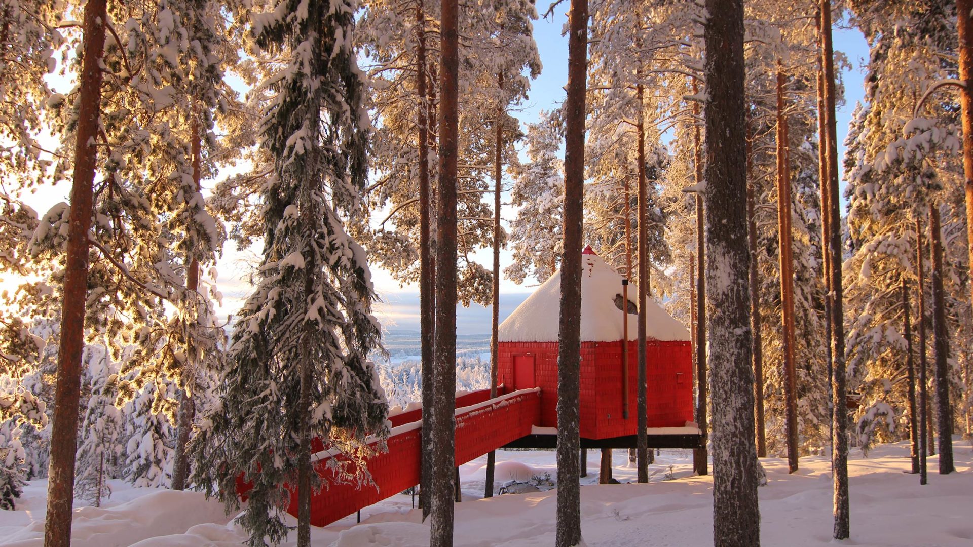 treehotel
