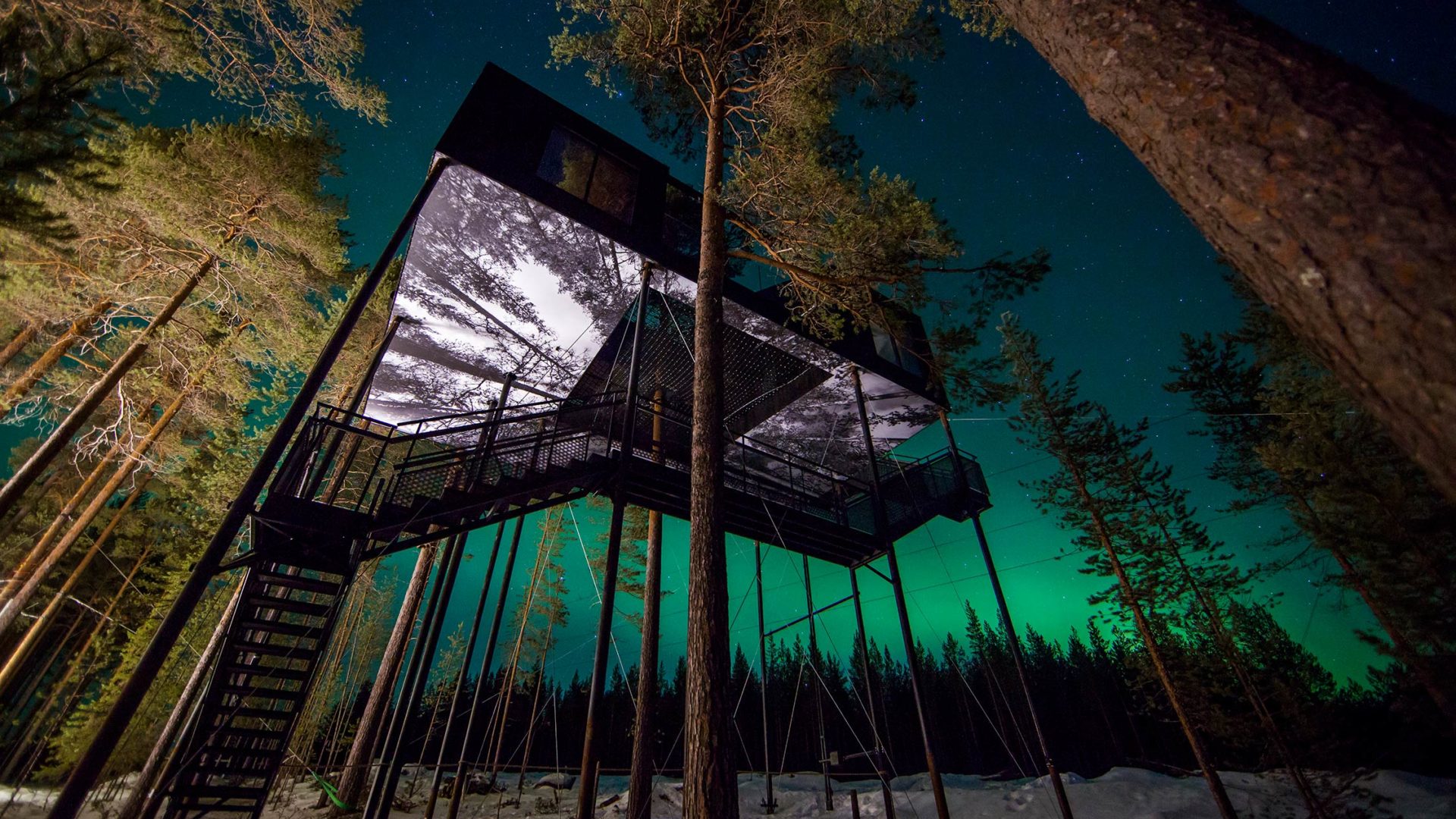 treehotel