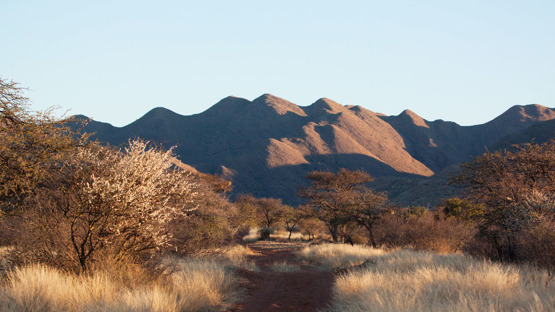 tswalu kalahari