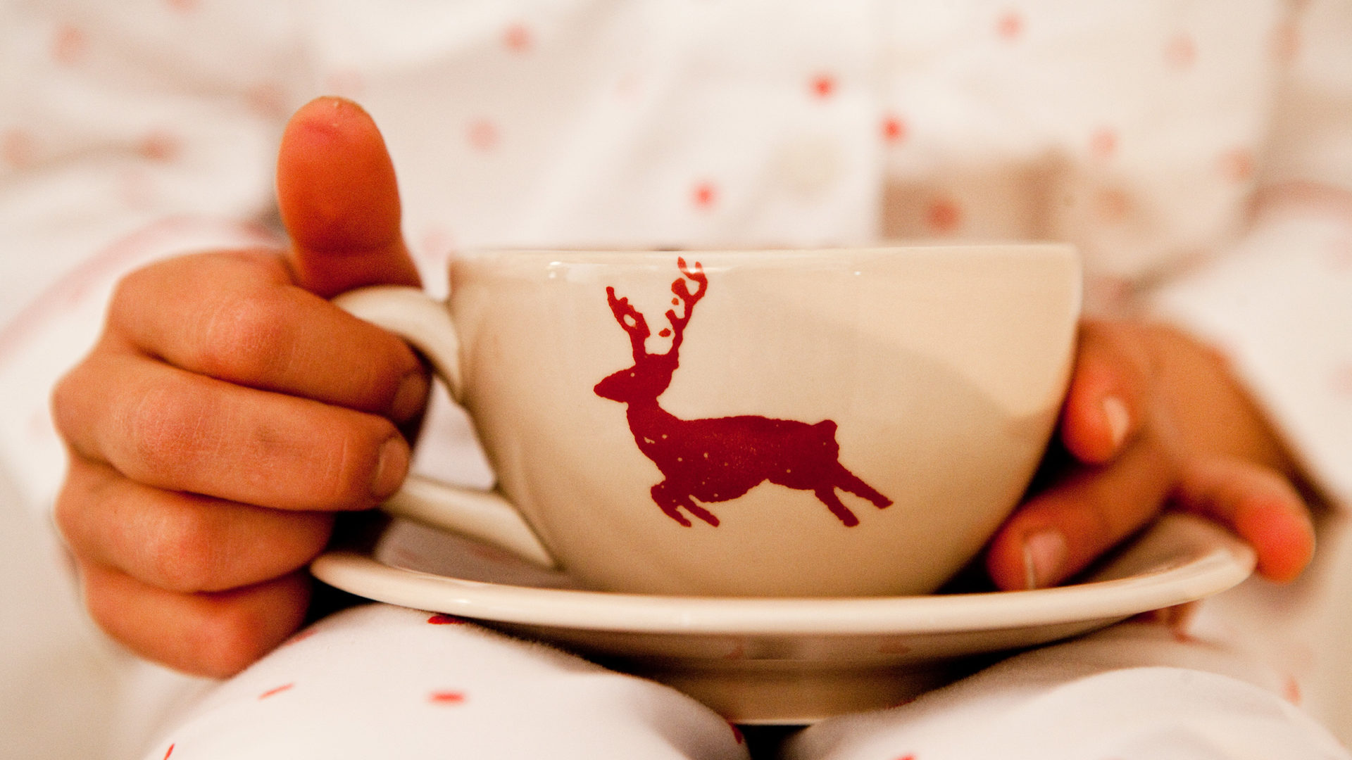 white deer san lorenzo mountain lodge