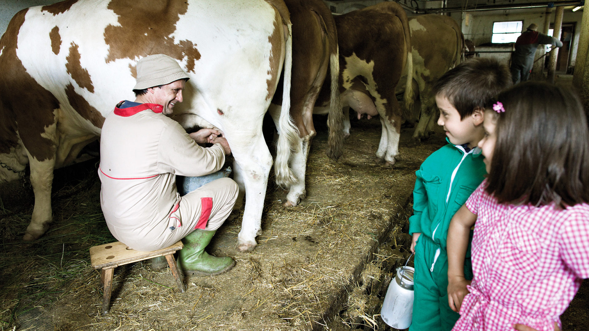 white deer san lorenzo mountain lodge