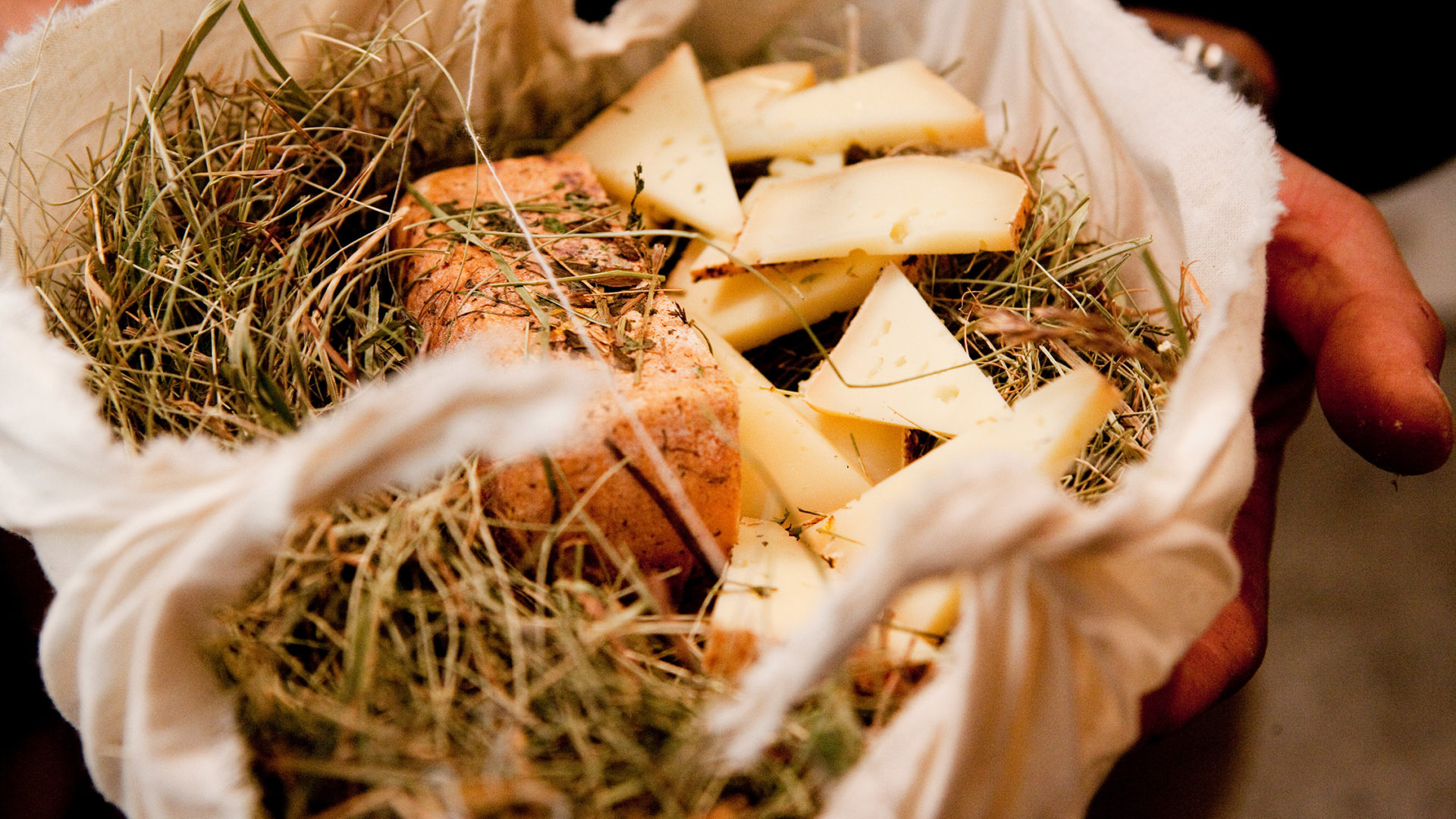 white deer san lorenzo mountain lodge