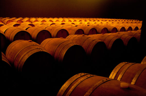 wine experience