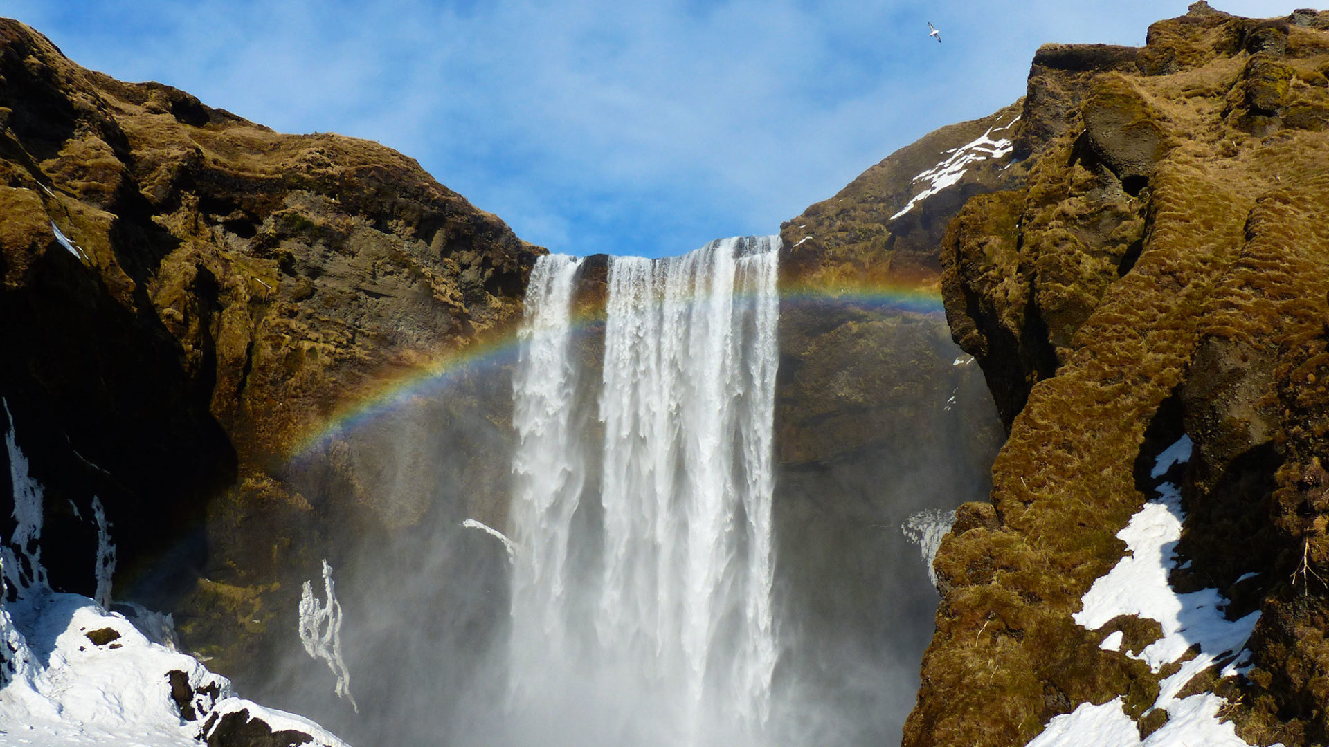 ana bru pure pursuits iceland