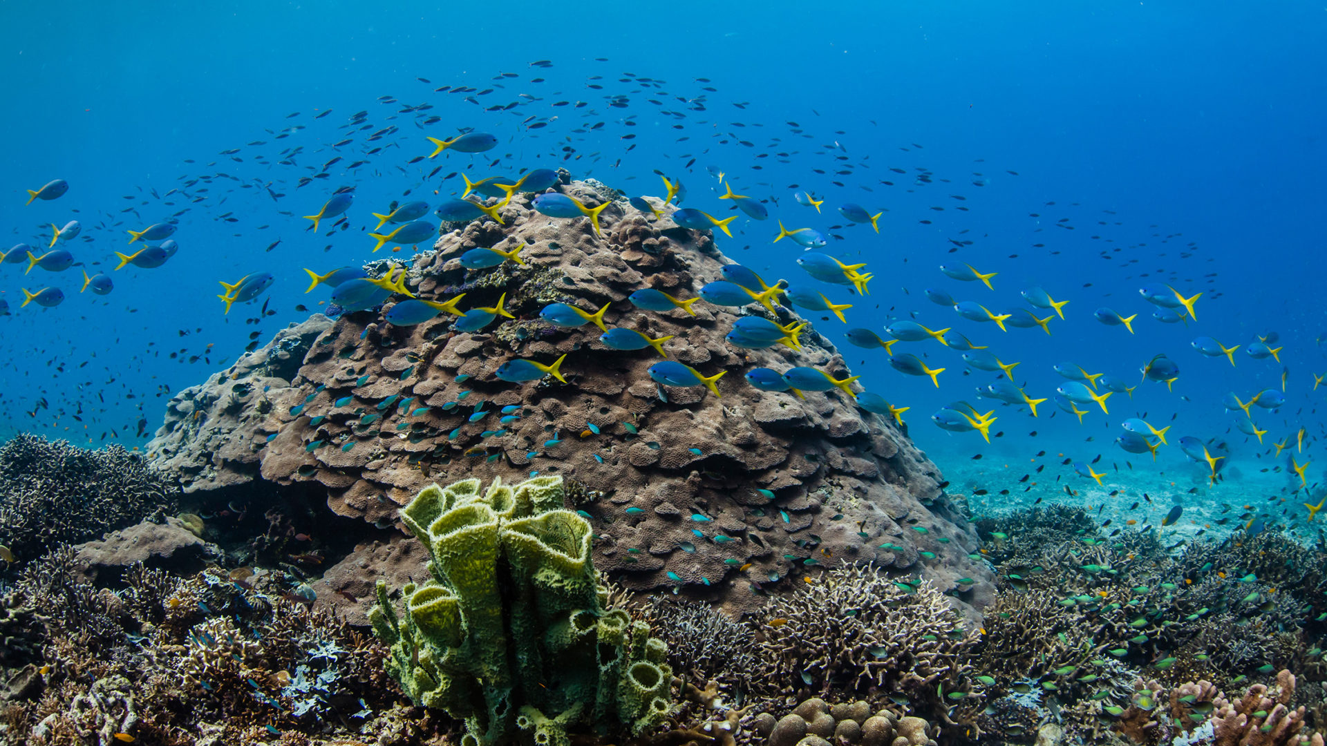 the silolona sojourn