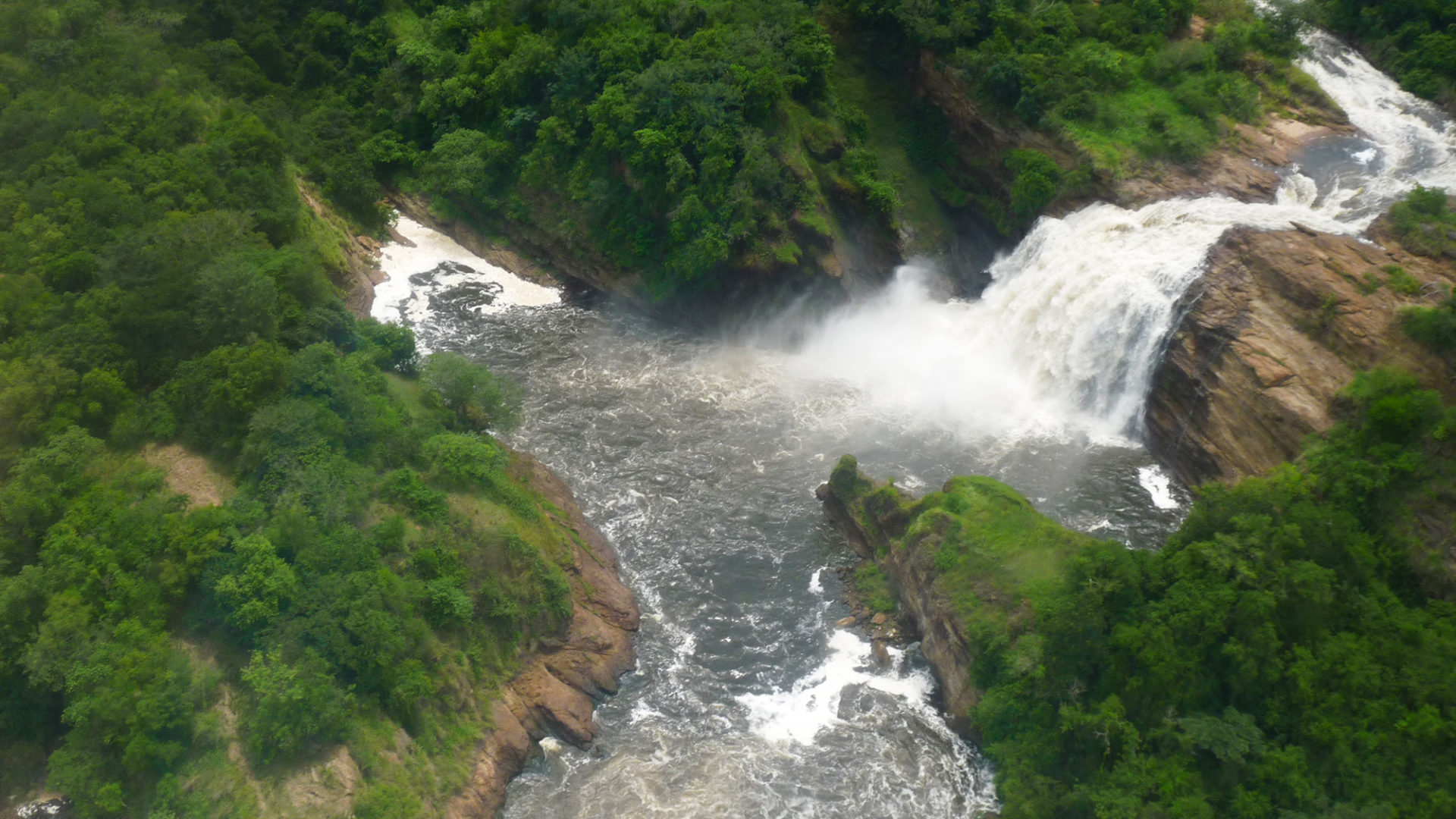 uganda gorilas travel story