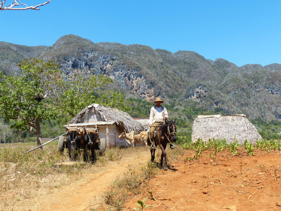 travel story cuba ana