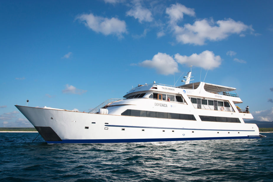 galapagos sea star journey