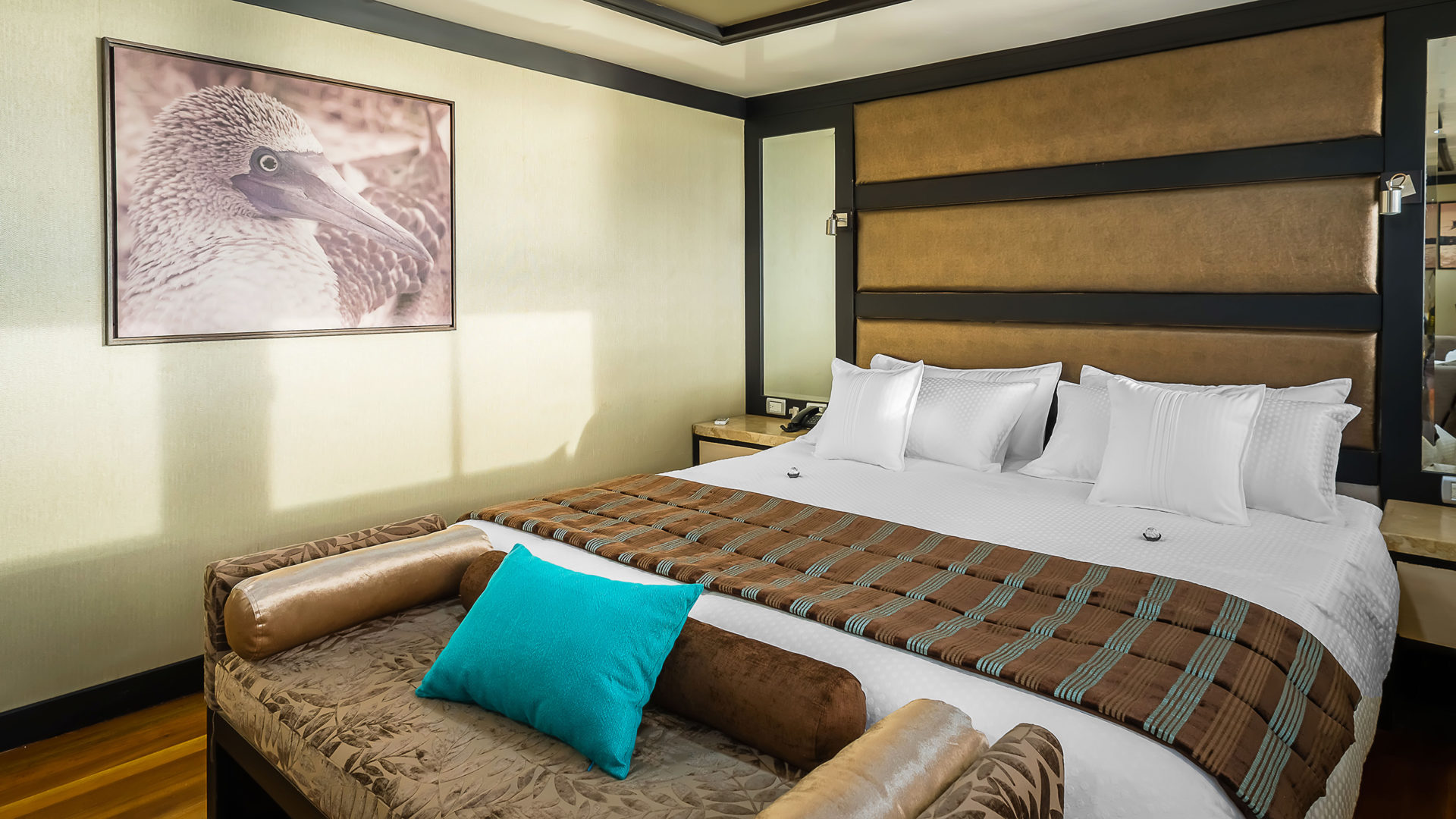 galapagos sea star journey