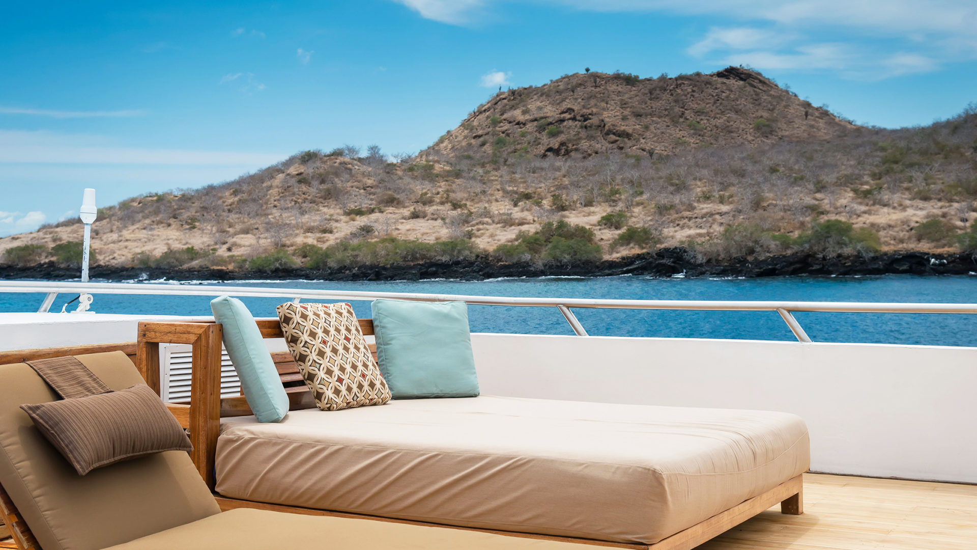 galapagos sea star journey