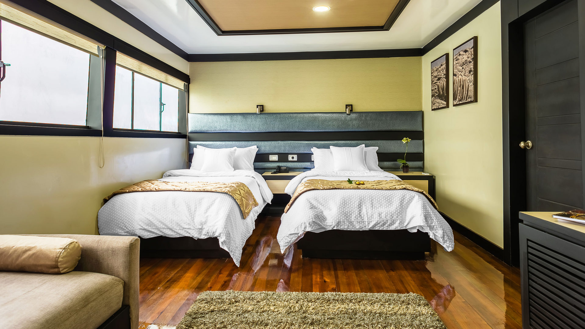 galapagos sea star journey